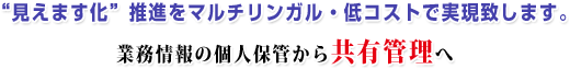 “見えます化”推進をマルチリンガル・低コストで実現致します。　業務情報の個人保管から共有管理へ