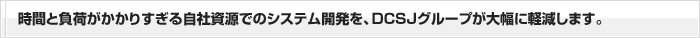 時間と負荷がかかりすぎる自社資源でのシステム開発を、DCSJグループが大幅に軽減します。